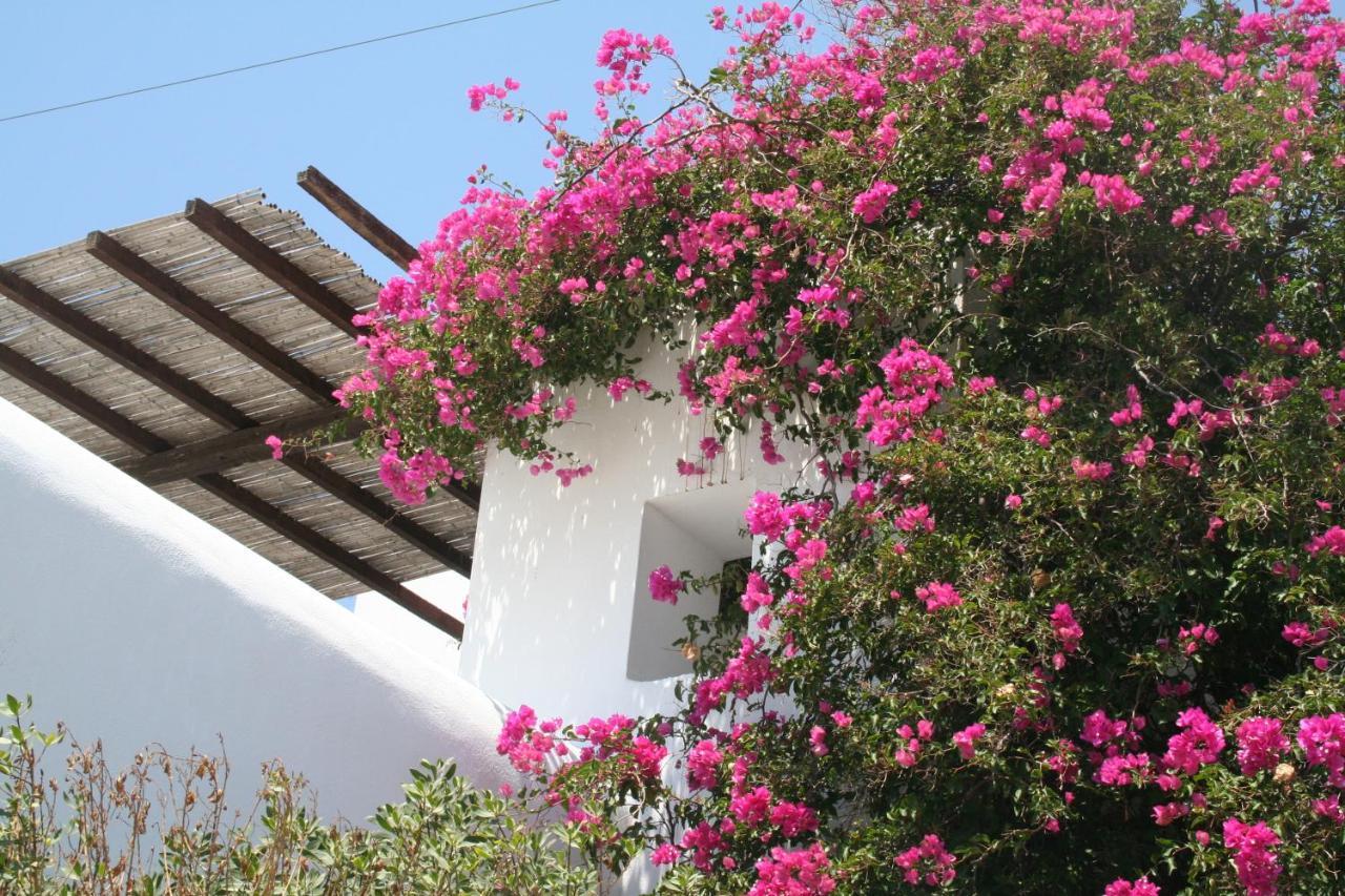 Petra Holiday Village Chora Eksteriør billede