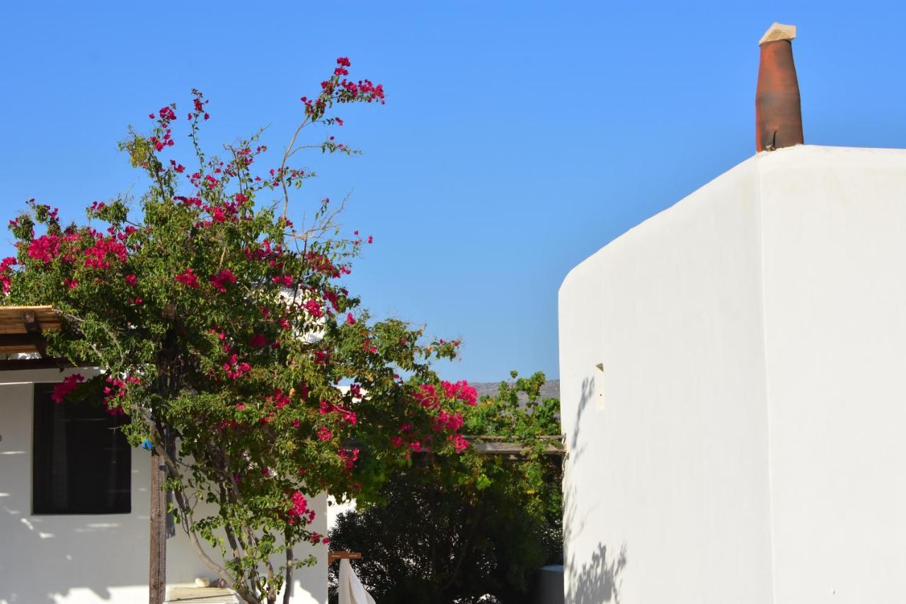 Petra Holiday Village Chora Eksteriør billede